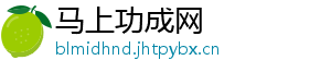 马上功成网